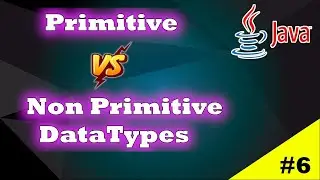 Java Primitive vs Non Primitive Data Types
