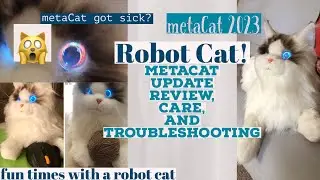 metaCat 2023 Robot Cat Update Review. Caring for an AI metaCat. #review #robotics@ElephantRobotics