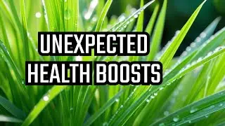 7 Surprising Health Benefits of Paragis