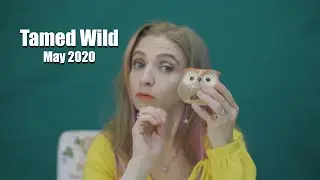 Tamed Wild May 2020 Witchcraft Mystery Box
