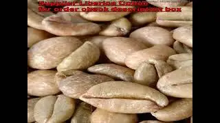 Liberica Coffee Beans Canada - We Coffee Supplier From Indonesia Whatsapp +62822 2221 1225