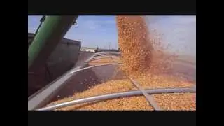 Beckley Harvesting 2012