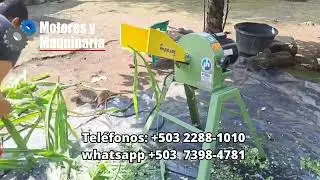 PICADORA DE ZACATE PP-200 AME CON MOTOR ELECTRICA ⚡🧑🏻&zwj;🌾 #picadoradezacate #penagos