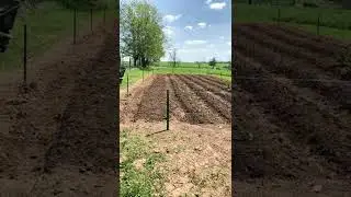 Keeping deer out of your GARDEN!! 😲🤔🤷🏽
