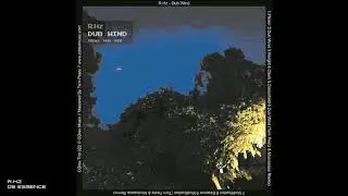 R.Hz - Dub Wind - 08 Essence