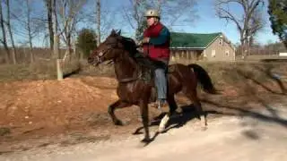 Charlie Speed Racker