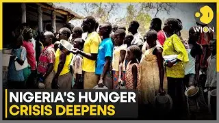 Global Food Crisis Deepens: 6 Million People Struggle for Basic Meals | WION