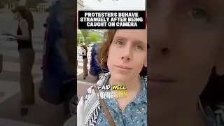 Are These Protesters Paid?