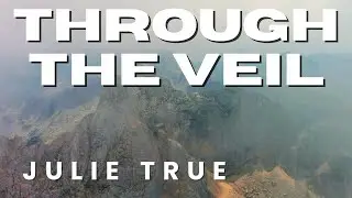 Julie True - Through The Veil