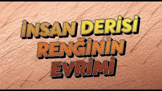 İnsan Derisi Renginin Evrimi: Irk Kavramının &Ccedil;&ouml;k&uuml;ş&uuml;!