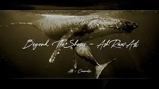 Beyond The Shores (Judah Earl) - Alt Cinematic Nature Soundscapes - Divine ARTistry inMotion ♾️Loop