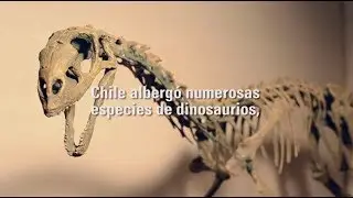&iquest;Qu&eacute; tipo de dinosaurios hubo en nuestro pa&iacute;s?