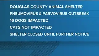 Douglas County shelter after outbreak of pneumovirus, parvovirus