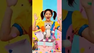 Kitty Surprise Box!