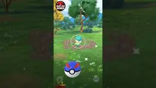 No Shundo, but I&rsquo;ll Take the Hundo Quaxly! 😤💯 #HuntForHundos