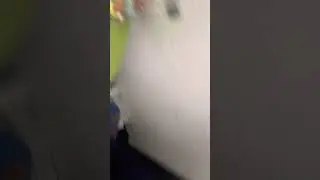 Давидка встречает шоколадных зайцев и зайчат