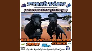 Fresh View (Where the Bloody Hell R Ya?)