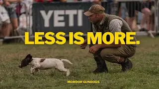 3 Things You SHOULD Be Doing With Your Young Puppy | Game Fair Q&A