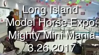 2017 Long Island Model Horse Expo Live Model Horse Show (LIMHE Mighty Mini Mania)