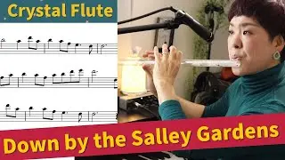 Hall Crystal Flute in D -  Down by the Salley Gardens【Tutorial】 Notes and BackingTrack