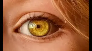 💪Infinity Traffic Boost Review Training👉|Free Lead System For Darren Brown Infinity Traffic Boost💥