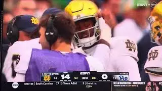 Notre Dame Malachi Fields The best catch of the year, 