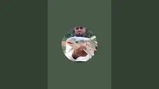 Shoeb technical fishing is live!