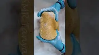 ASMR Sponge Squeezing Compilation #asmrsponges #spongesqueezing