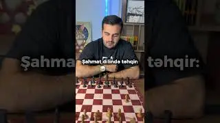 Şahmat dilində təhqir