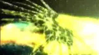Babylon 5-Vorlon versus Shadow