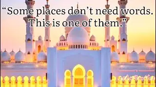 Night View of Biggest Mosque of U.A.E. 🕌 