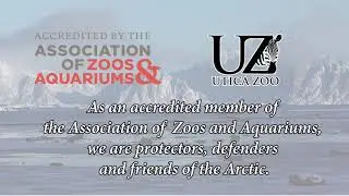 Arctic Conservation