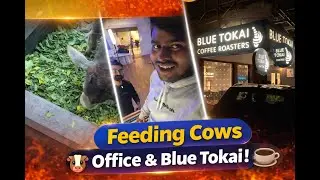 Feeding Cows, Office Life & Blue Tokai Coffee | Real Day Vlog