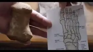 Explorers found Giant Human Bones near the possible location of Noah&rsquo;s Ark in Turkey