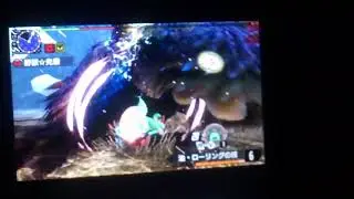 超特殊許可 朧隠ホロロホルル ビースト 15