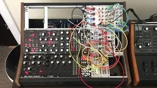 My First Eurorack Patch - Moog Subharmonicon, DFAM, Noise Engineering Ataraxic Iteritas
