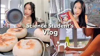 life of a high school science student (malaysia): notes 📒, korean lava rice 🥘, shopee haul