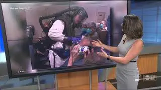 Florida couple quarantined on cruise ship amid coronavirus scare back in the US