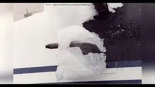 #90:  Icing/Pneumatic Instrument Failure | Emergency Procedures | Virus SW-80 Aircraft | MCQ's