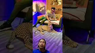 #gta #gaming #tiger #games #gtav #rap #music #hiphop #song #emiwaybantai