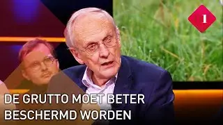 Oud-minister Pieter Winsemius wil dat boeren beter geholpen worden om de grutto te beschermen | Op1