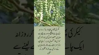 Babool Benefits |Strengthen Your Bones Naturally with Quick Tips| Short & Informative #ytshorts