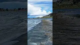 Playas en el Titicaca #nature #flowers #travel #birds #sunset #lake