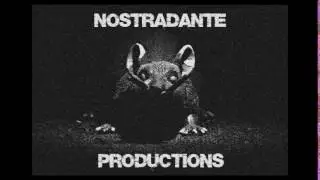 New Nostradante Ident Logo
