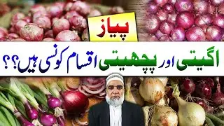 Best Varieties of Onion suited for early and Late sowing || Crop Reformer