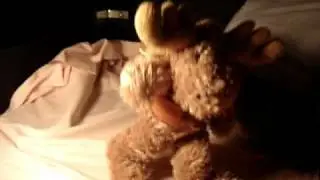 dancing moose
