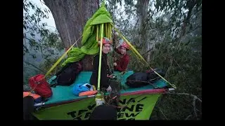 Tarkine Activist ledges