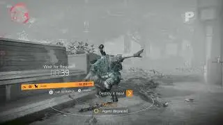 New Division 2 emote