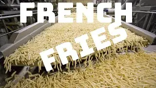 How Are McDonald's French Fries Made - Food Factory