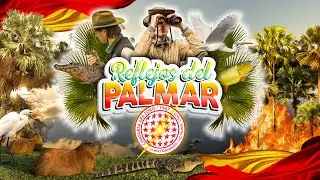 Ara Zoro 2023 - Reflejos del Palmar